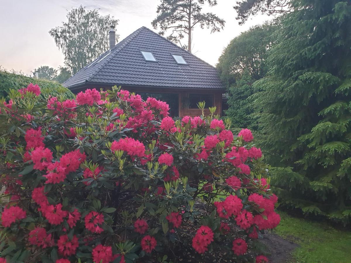 Bitte Three Bedroom Design Cottage Юрмала Екстер'єр фото
